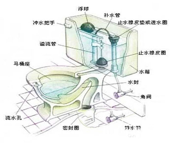 漩涡式虹吸马桶结构图图片